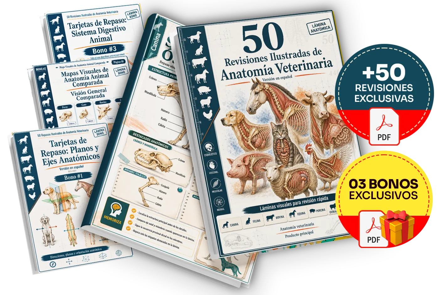 Plan completo con todos los productos y bonos